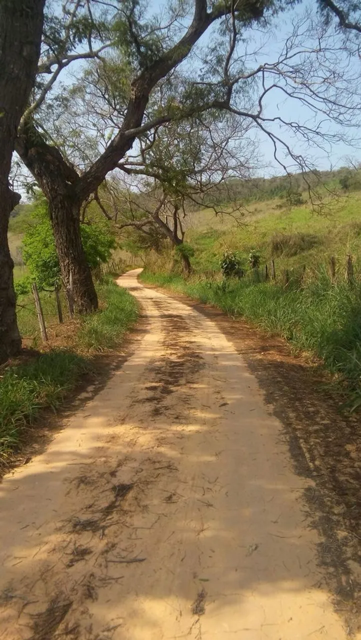 Terrenos de 1.000m² em São Roque Direto com o Proprietário!