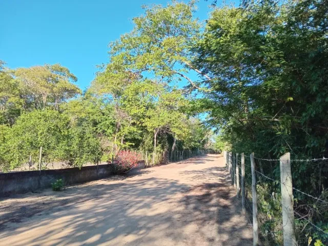Terreno para chácara