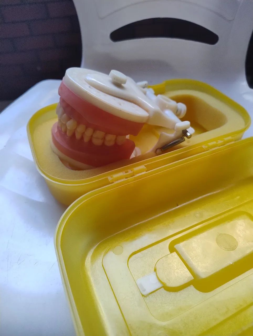 Manequim dentistica pronew  - Foto 3