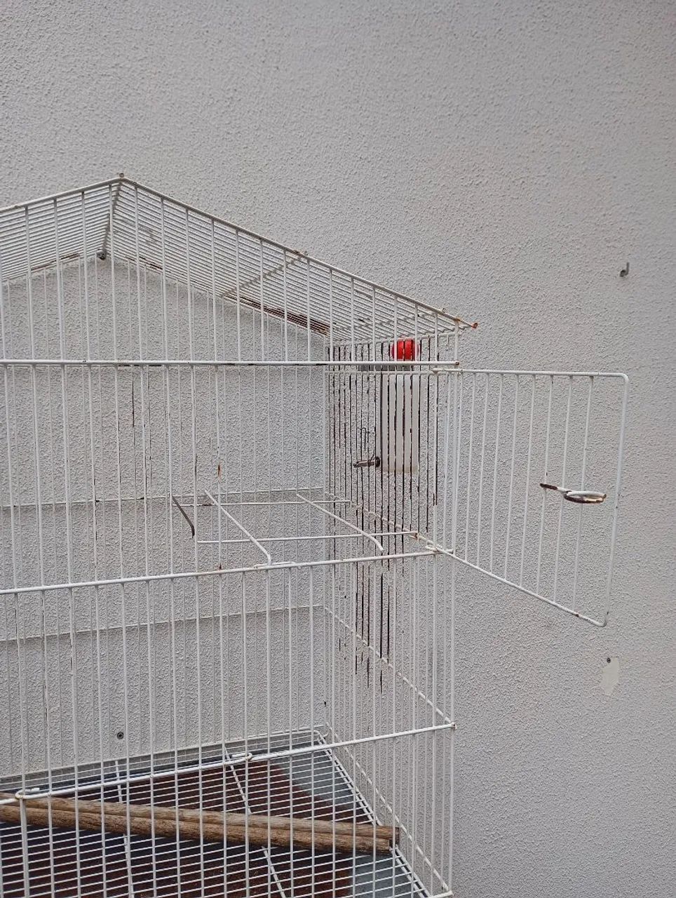 Gaiola criadeira para calopsita  - Foto 4