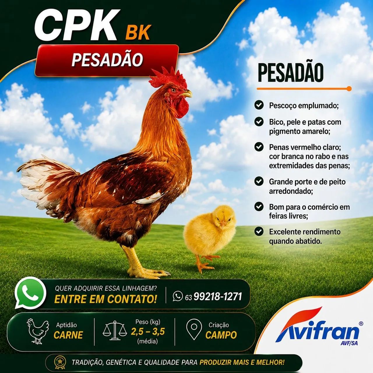 Caixa de pintinhos 100 unidades. - Foto 4