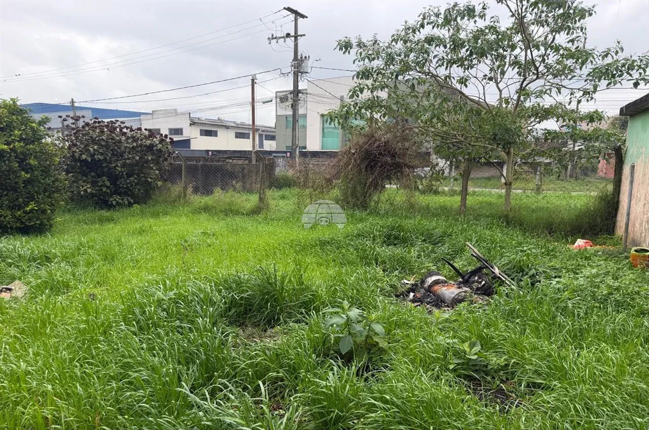 Vendas Terreno Pinhais PR - Foto 4