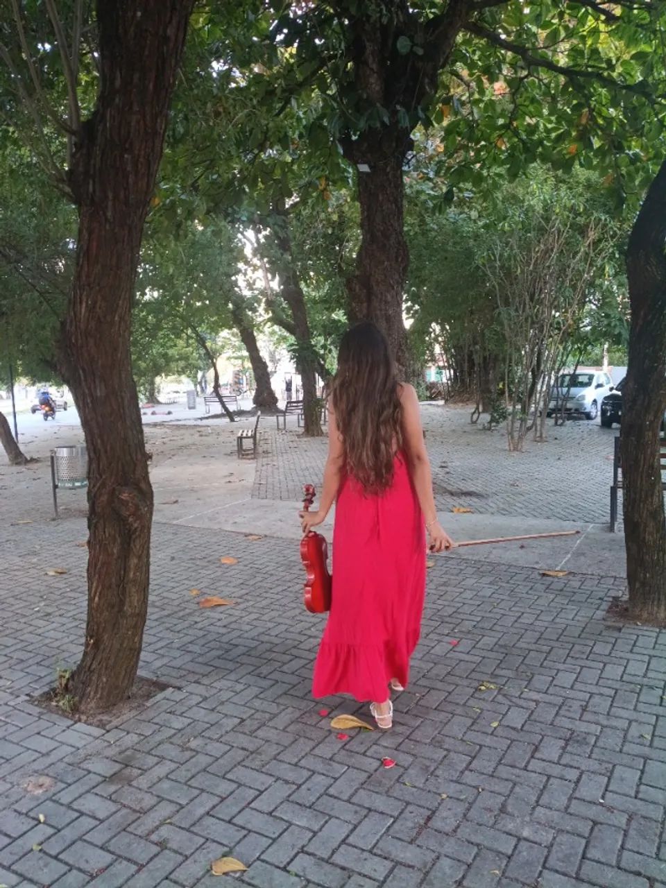 Violinista 