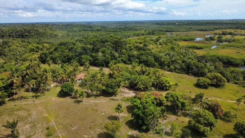 Fazenda 77ha - Foto 4