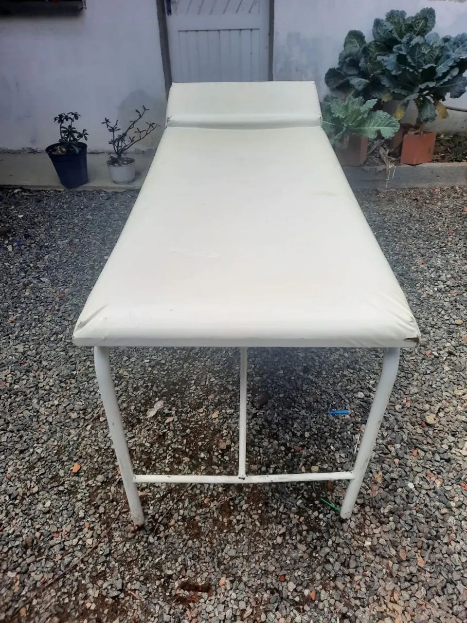 Maca  - Foto 2