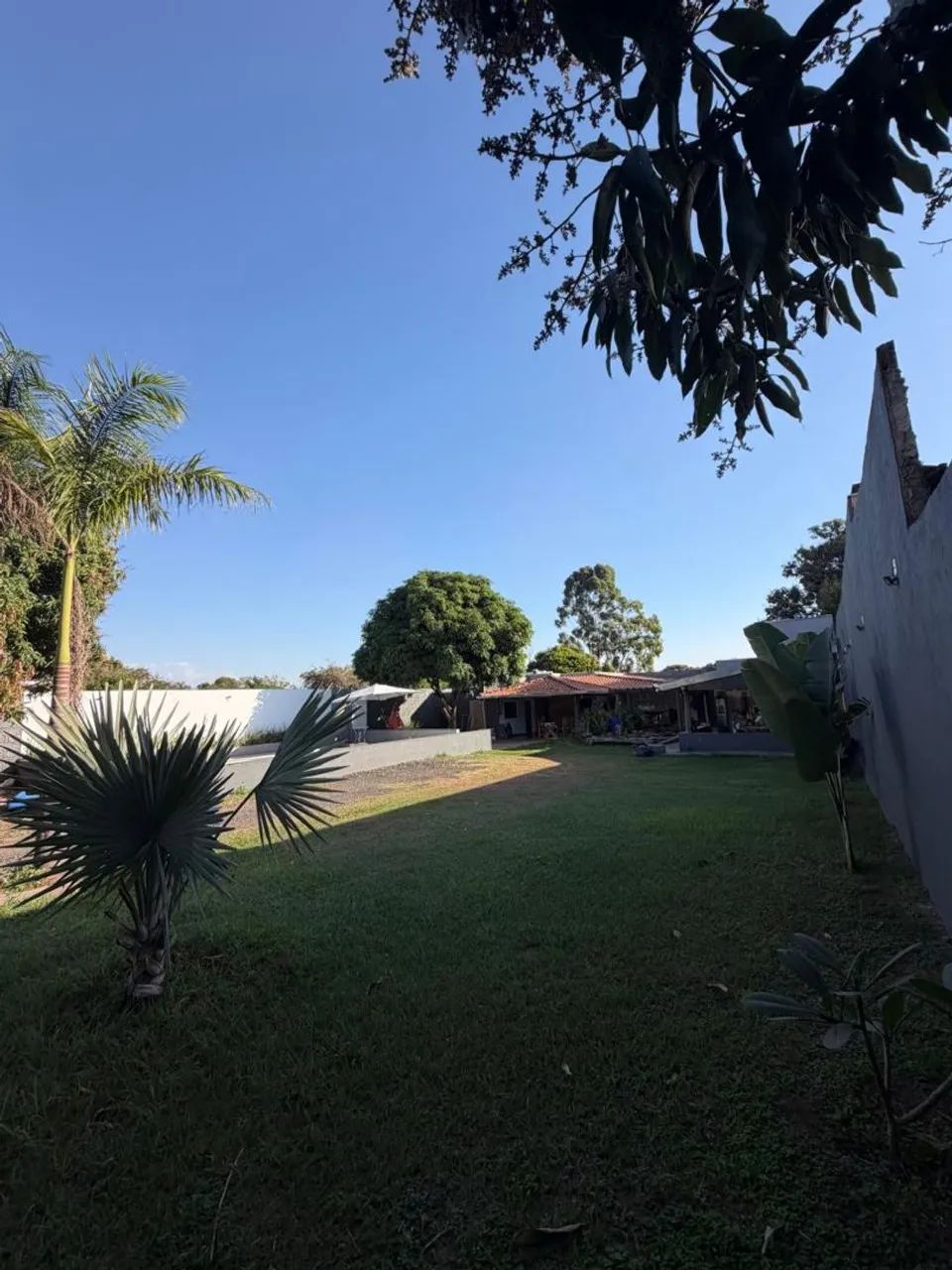 Vendo chácara  - Foto 4