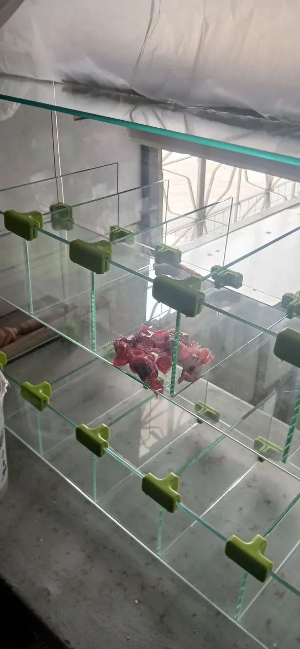 Mini vitrine expositora/Bomboniere - Foto 3