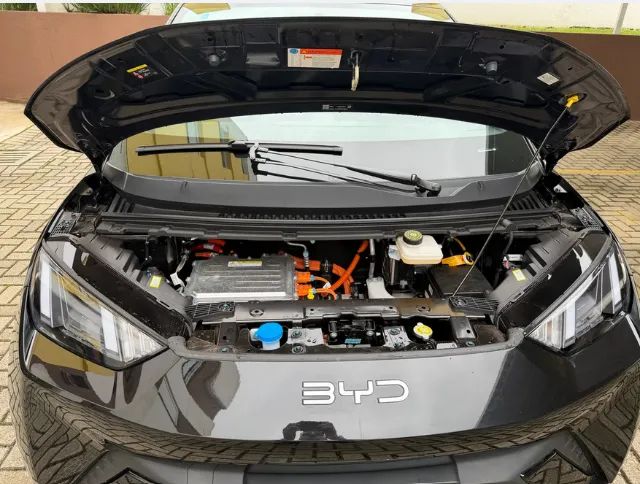 BYD Dolphin Mini (Elétrico) 2027 - Foto 3