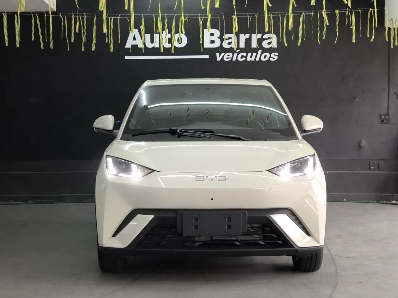 BYD Dolphin Mini (Elétrico) 2027 - Foto 2