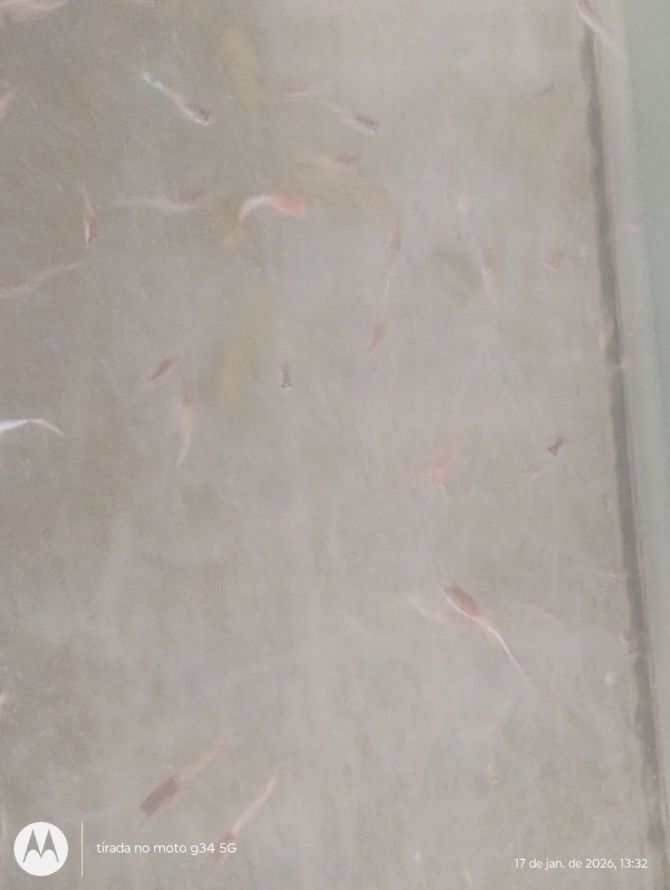 Aquário valor 100 reais, medindo 48cm x 25cm x 15cm. - Foto 2