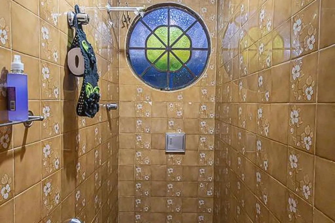 Casa à Venda - Alípio de Melo, 3 Quartos, 360 m2 - Foto 5