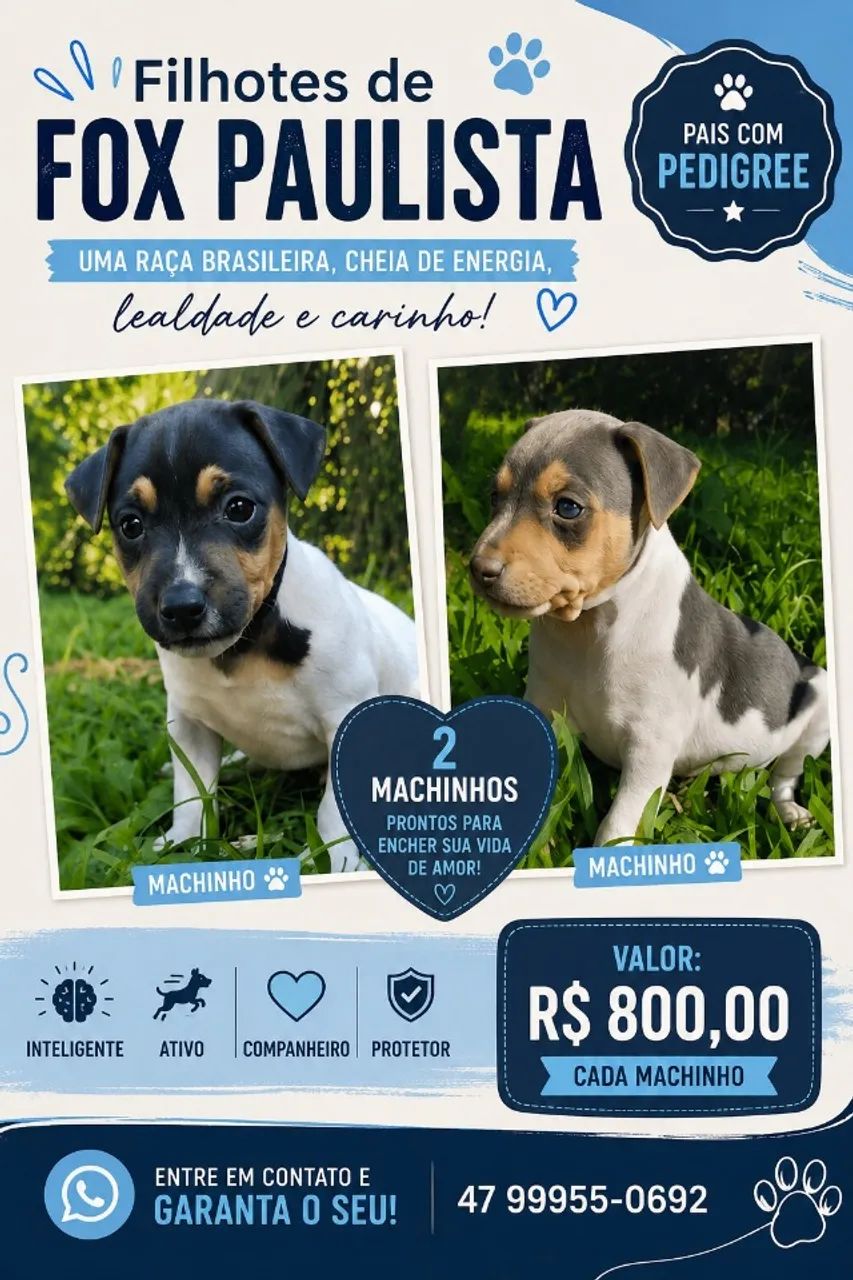 Fox Paulista