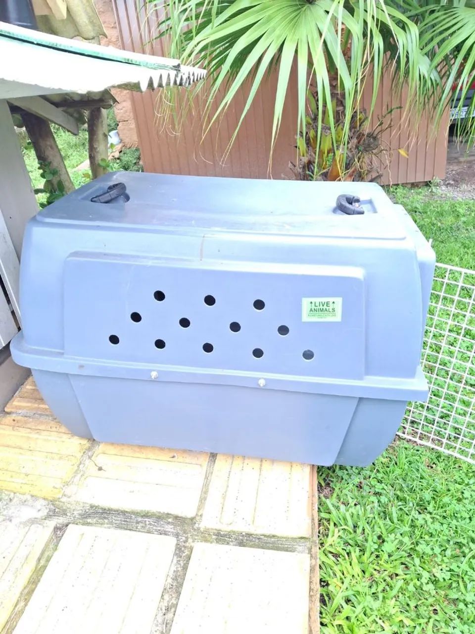 Caixa para transportar cães  - Foto 3