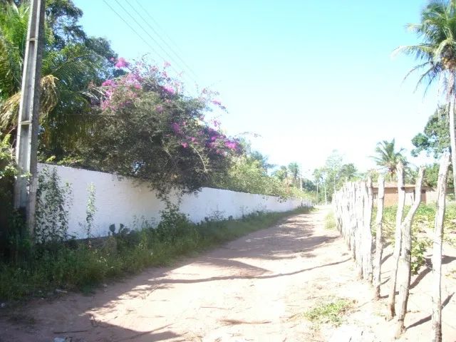 Vende-se Sítio em Ceará-Mirim - 2 hectares - Foto 3