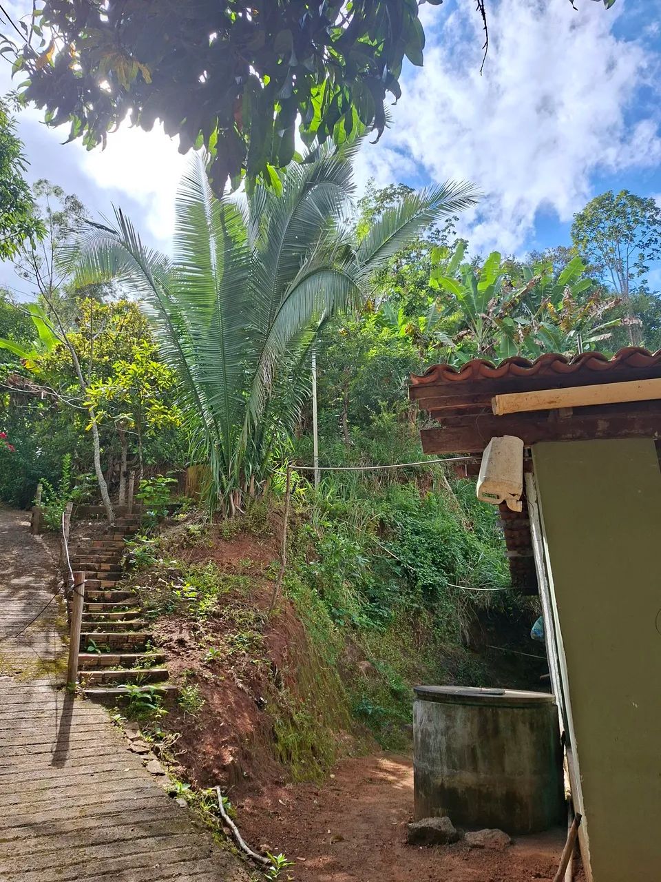 SITIO NO PACOTI - Foto 4