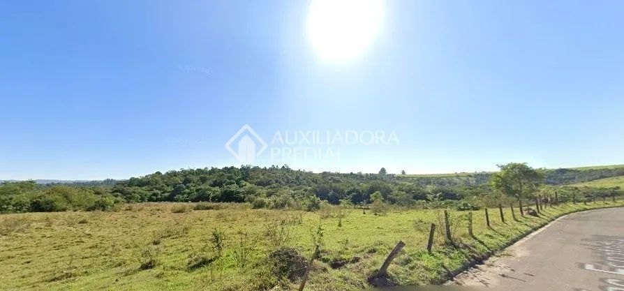 Terreno em Floresta Escura, São Pedro - Foto 2