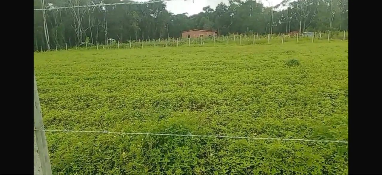 Terreno em Aldeia  - Foto 2