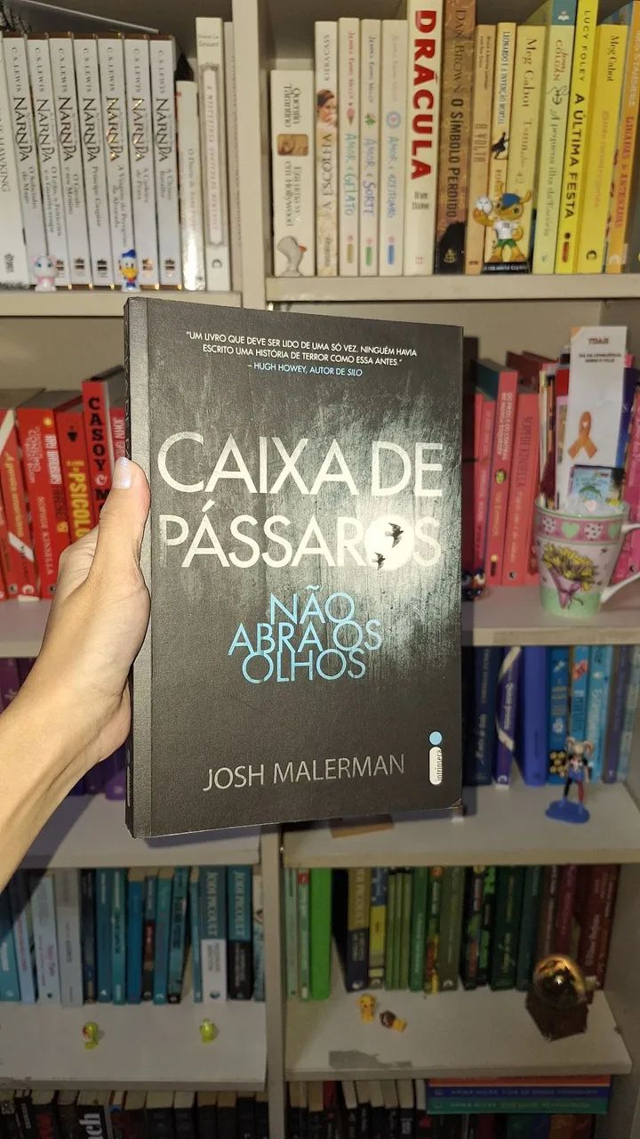 Livro Caixa de pássaros - Josh Malerman