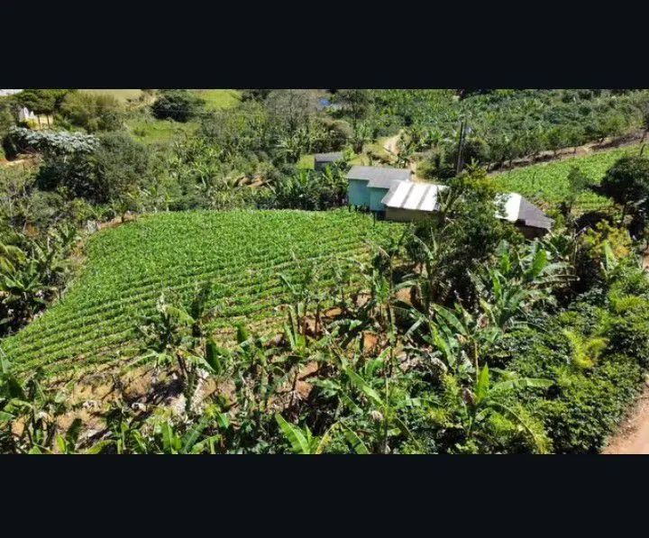 Terreno no interior de Guarapari  - Foto 3