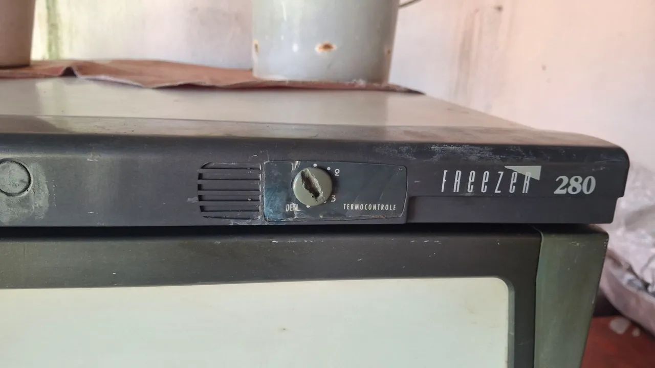 Freezer  vertical 