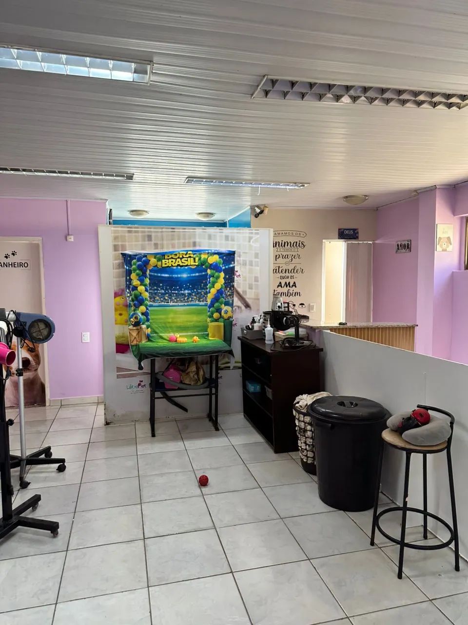  petshop : passo ponto - Foto 4