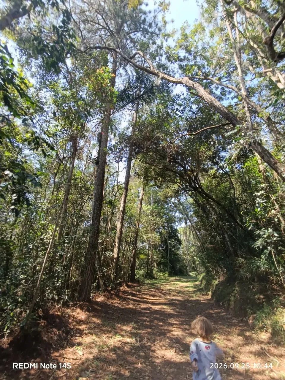 Vende-se Chácaras mil metros e lotes 7x25m  - Foto 5