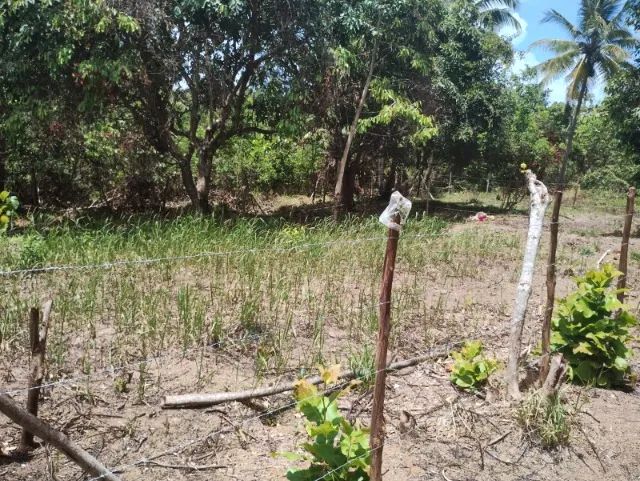 Terreno Ilha de Itaparica - Foto 2