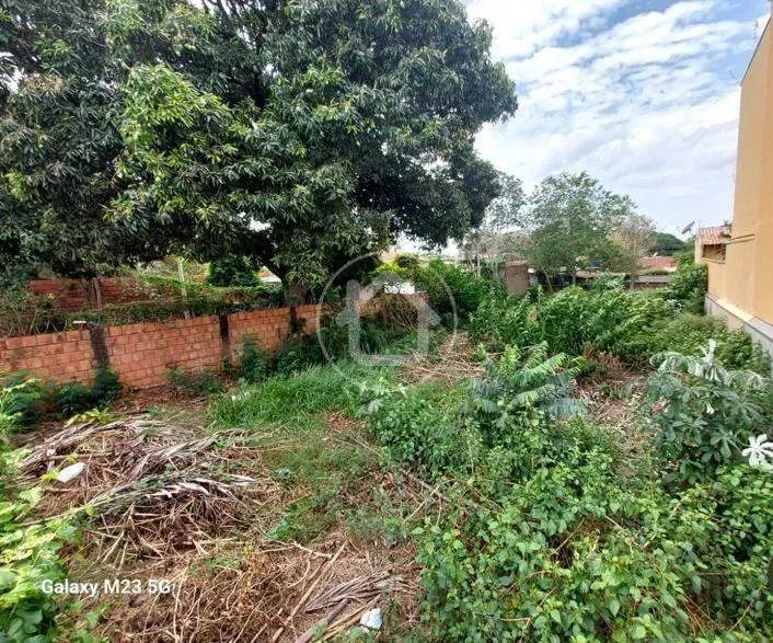 TERRENO SAO FRASCISCO - Foto 2