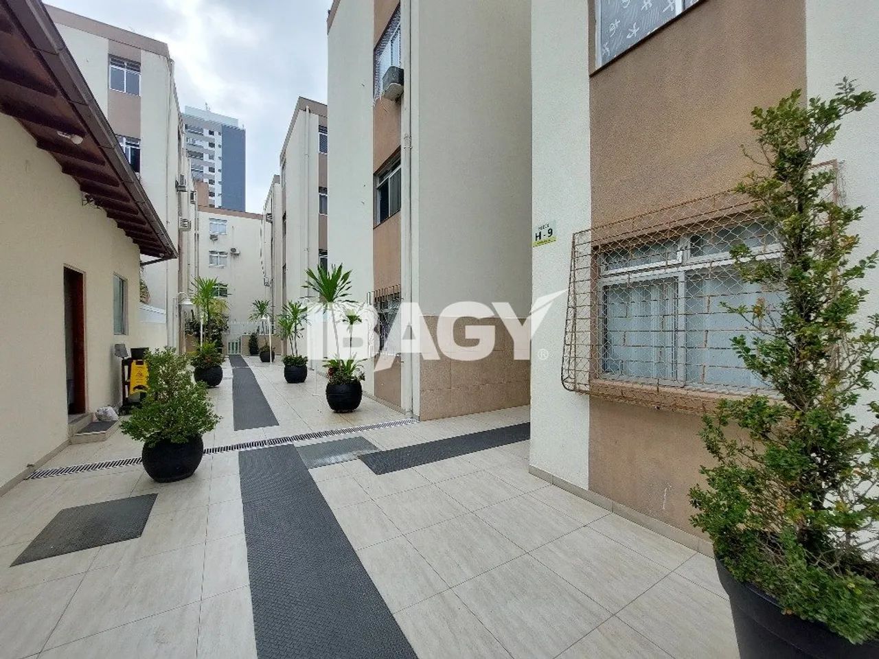 Excelente Apartamento 3 dormitório(s) em Campinas - São José - Foto 2