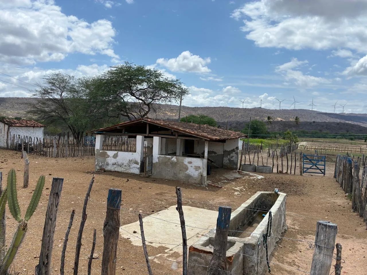 Fazenda com 39,4 hectares em São Tomé  - Foto 4