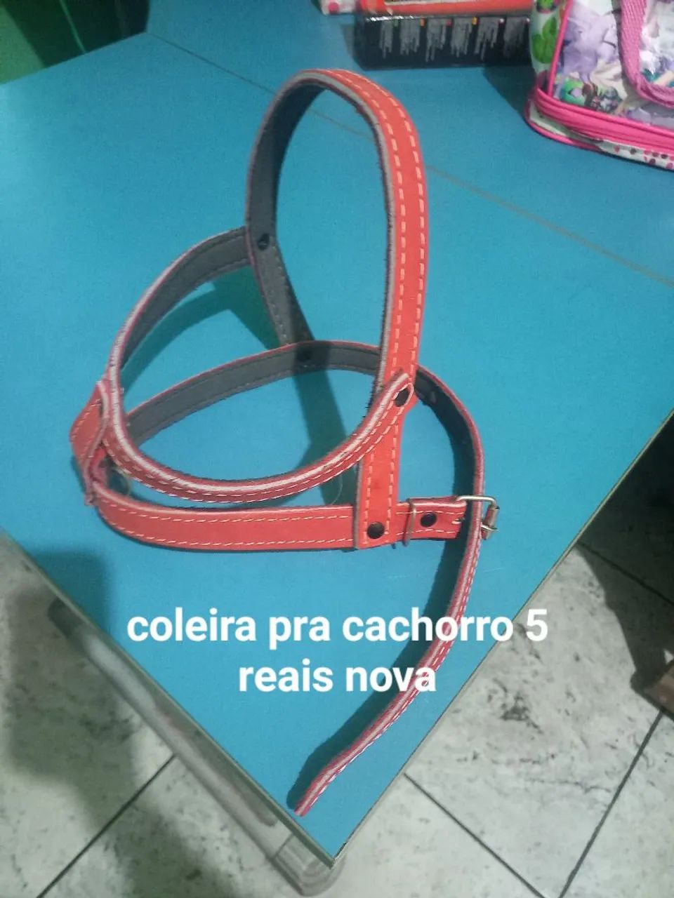 Coleira pra cachorro
