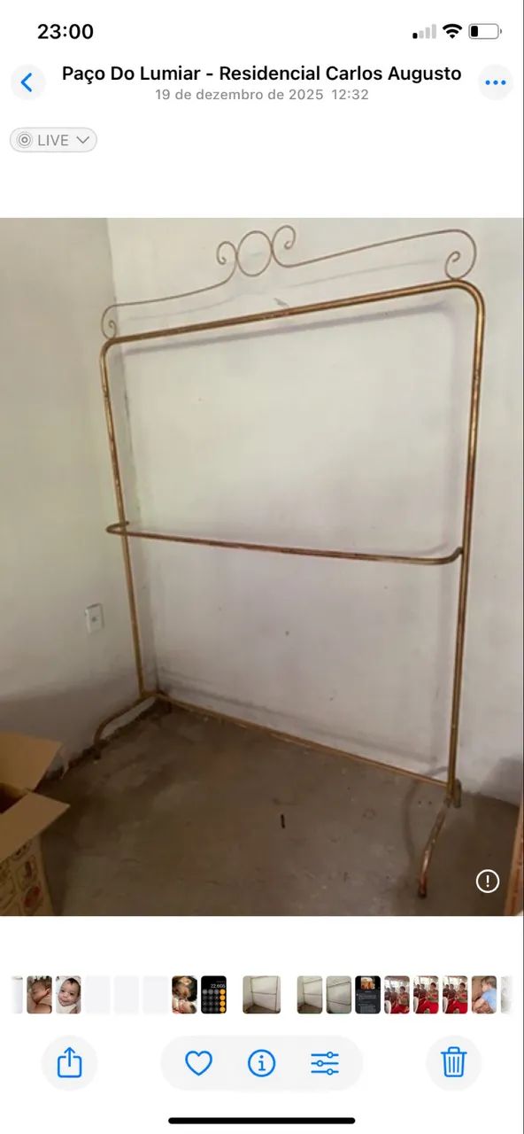 VENDO ARARA PARA LOJA