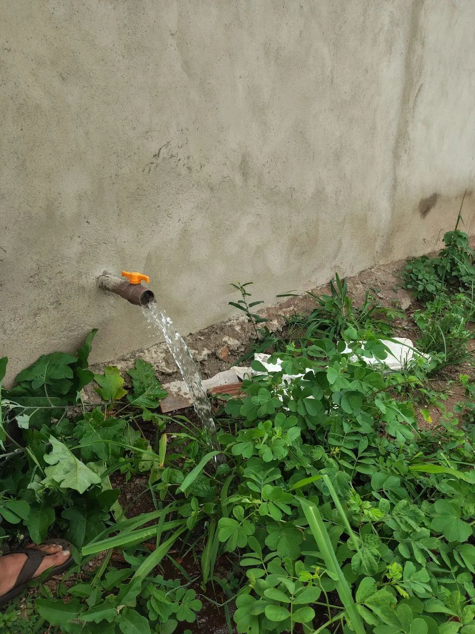 Terreno em glória do Goitá - Foto 3