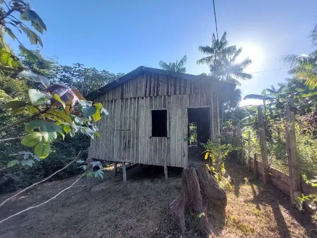 CASA DE MADEIRA EM TERRENO AMPLO CONSOLIDADO COM FRUTÍFERAS PRONTA PARA MORAR - Foto 3