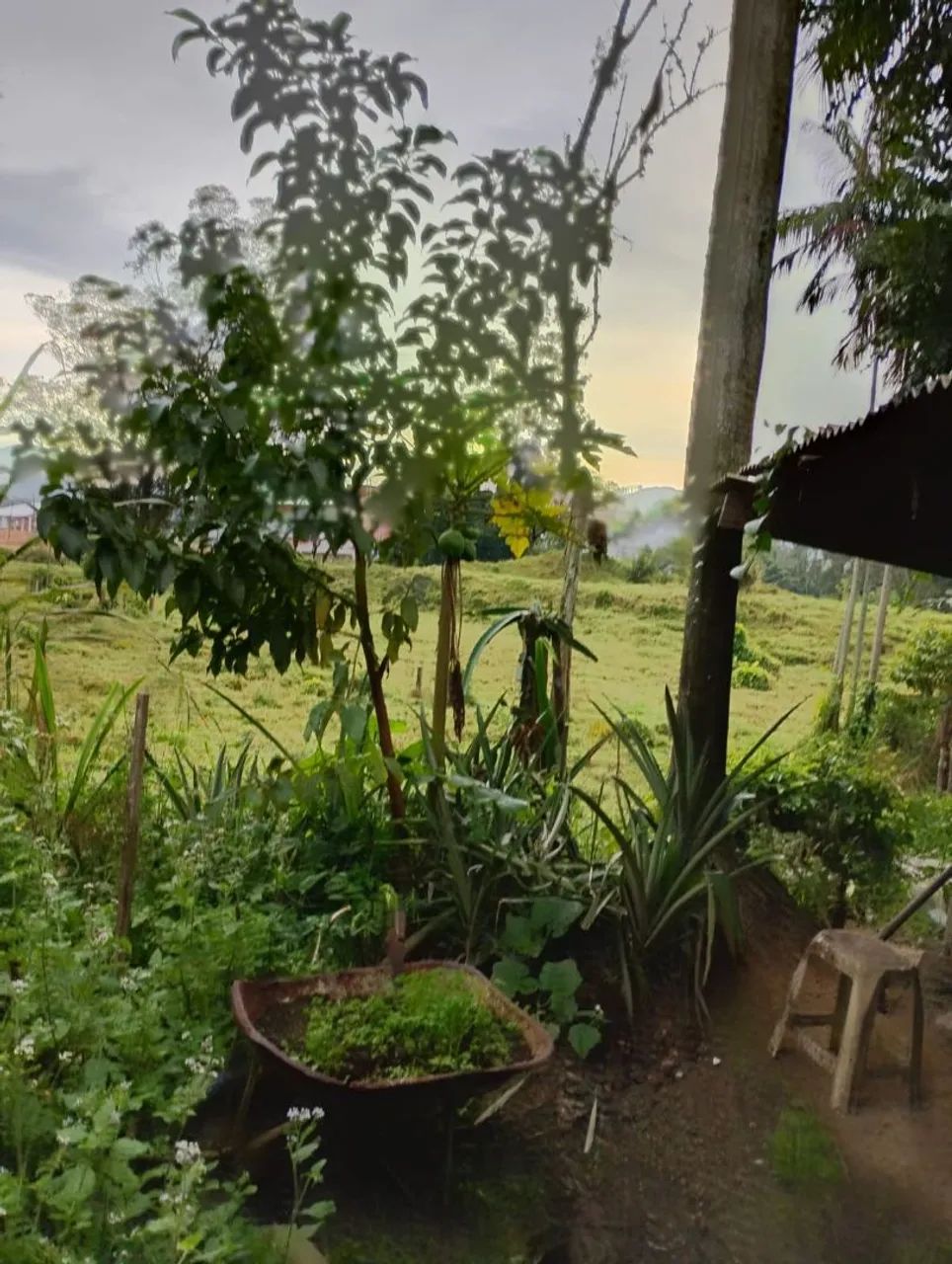 Excelente Oportunidade em Santo Amaro da Imperatriz  - Foto 3