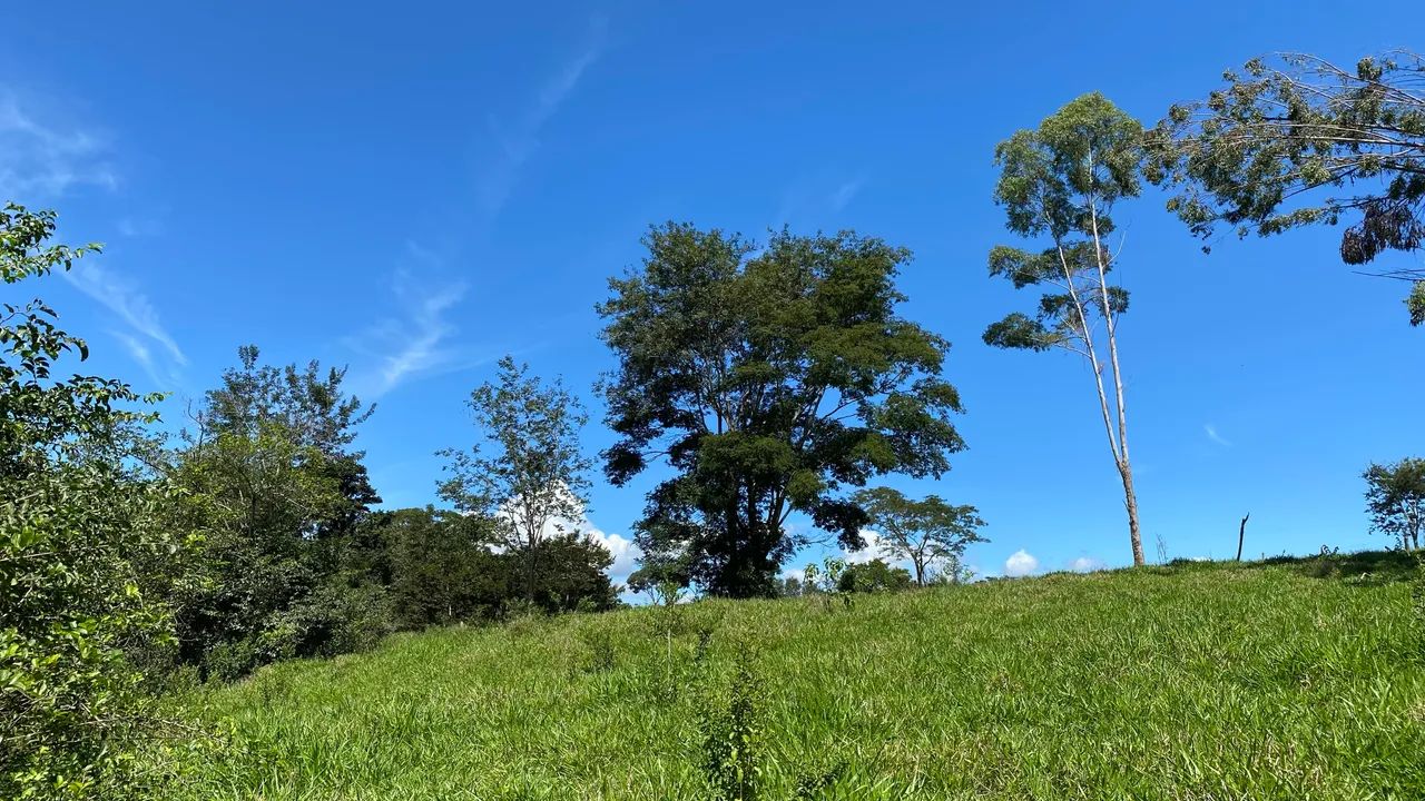 Chácara de 2.100mt com córrego no fundo em Cristianopolis  - Foto 5