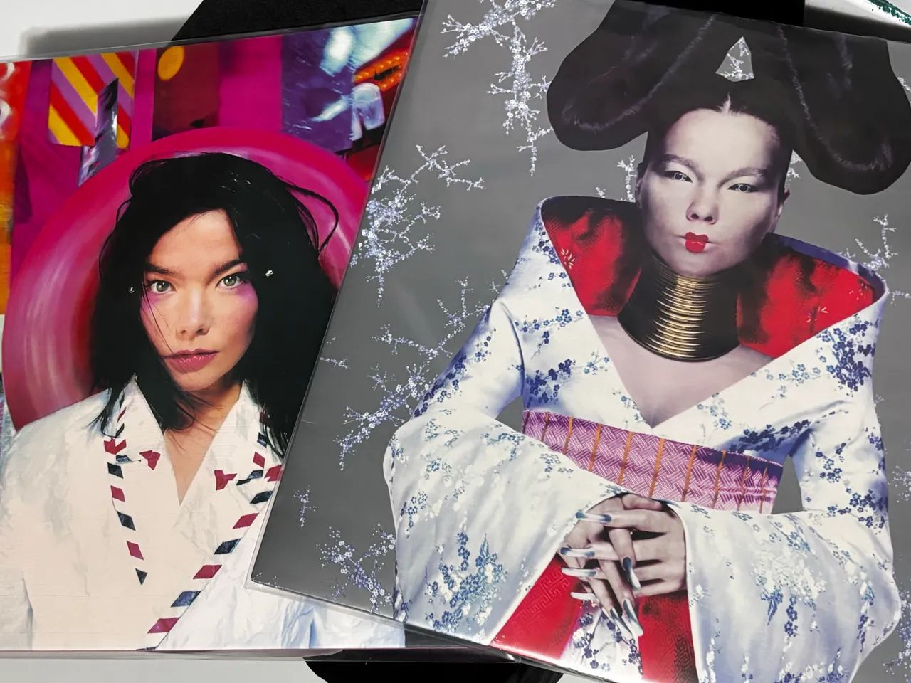 Disco de Vinil Post e Homogenic