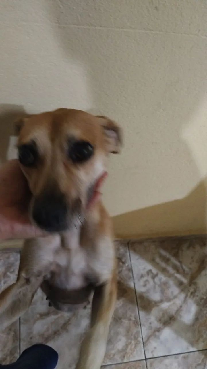 Doação  - Foto 2