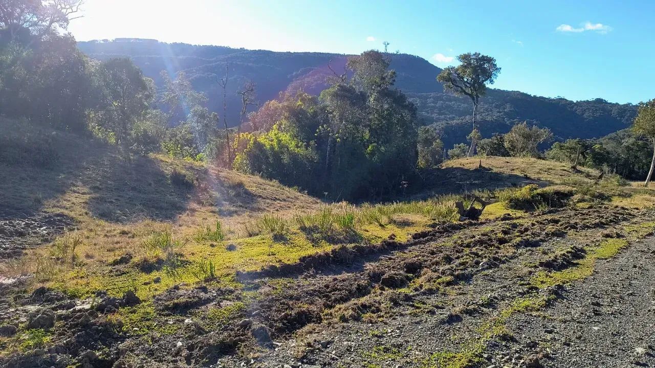 6 Hectares à Venda em Bom Retiro-SC - Foto 4
