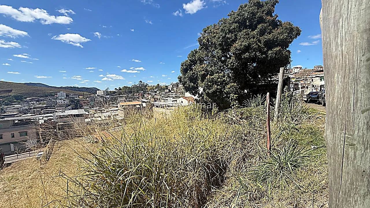 Lote / Terreno - Santo Antônio - Foto 3