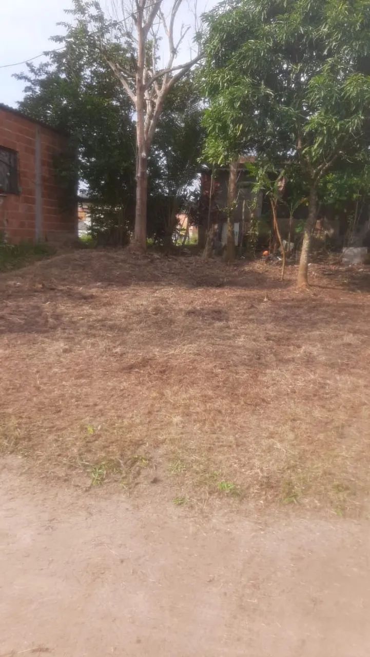 Terreno  - Foto 3