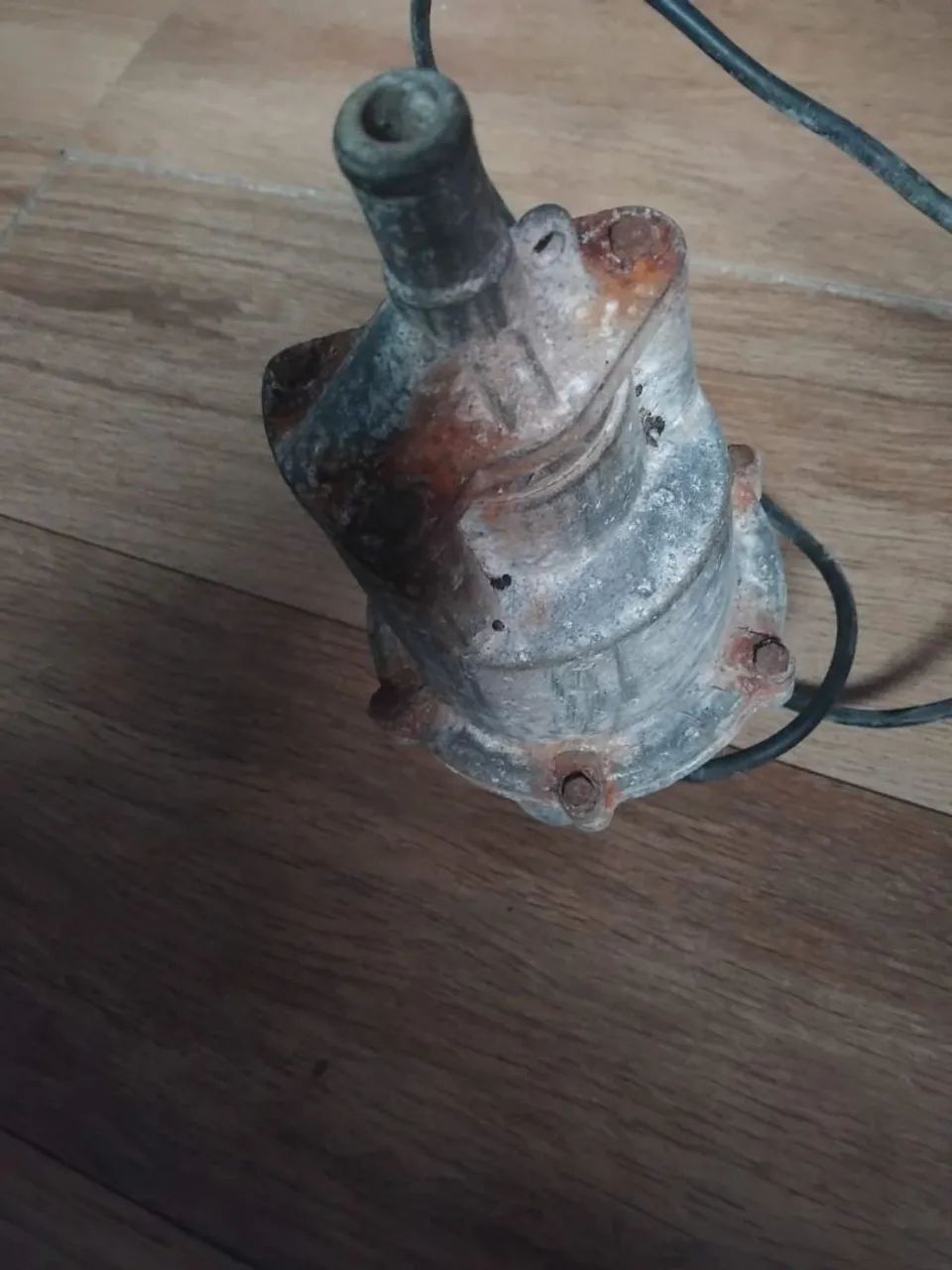 Bomba  D'agua Sapo