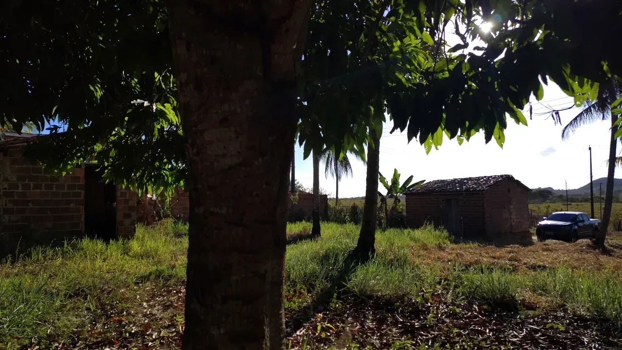 terreno com duas casa pov riachão - Foto 3