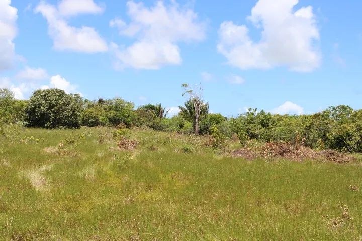 Fazenda 77ha - Foto 2