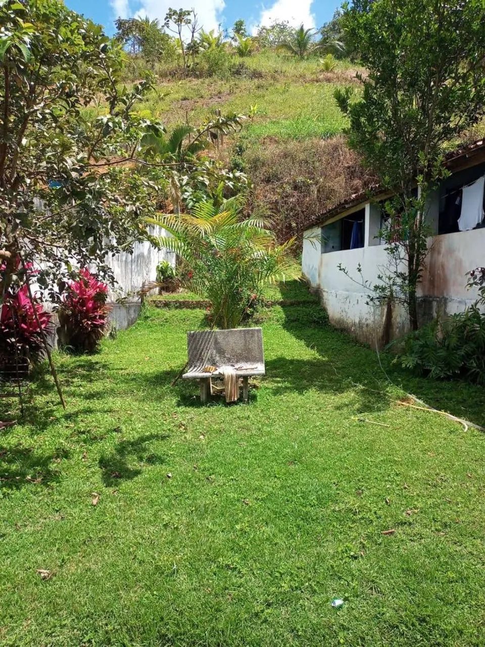 Sítio  - Foto 2