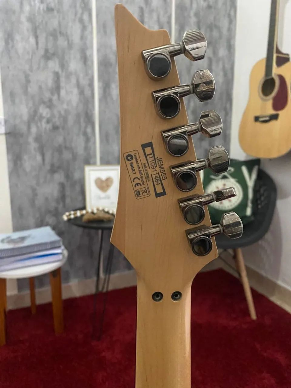 Ibanez Jem Jr - Foto 5