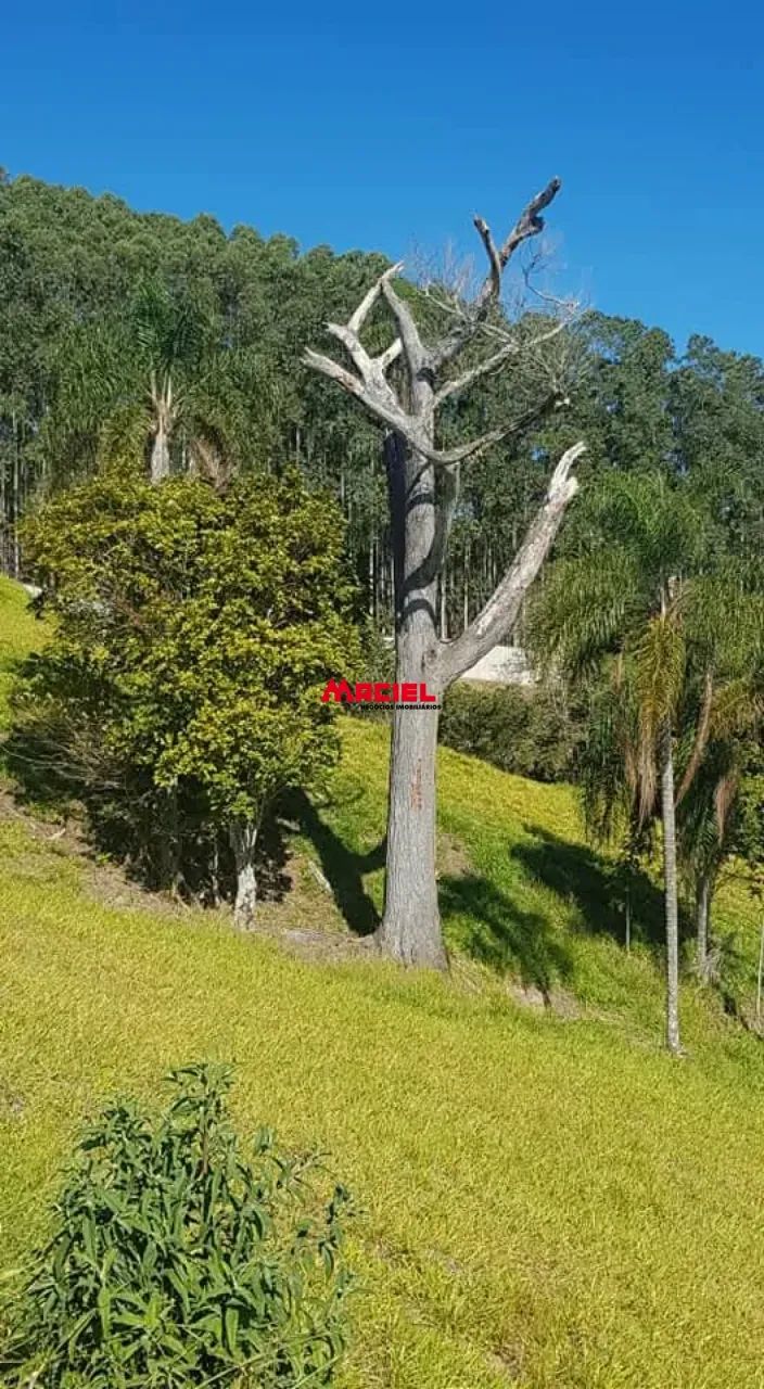 Terreno Condomínio em Paraibuna - Foto 2