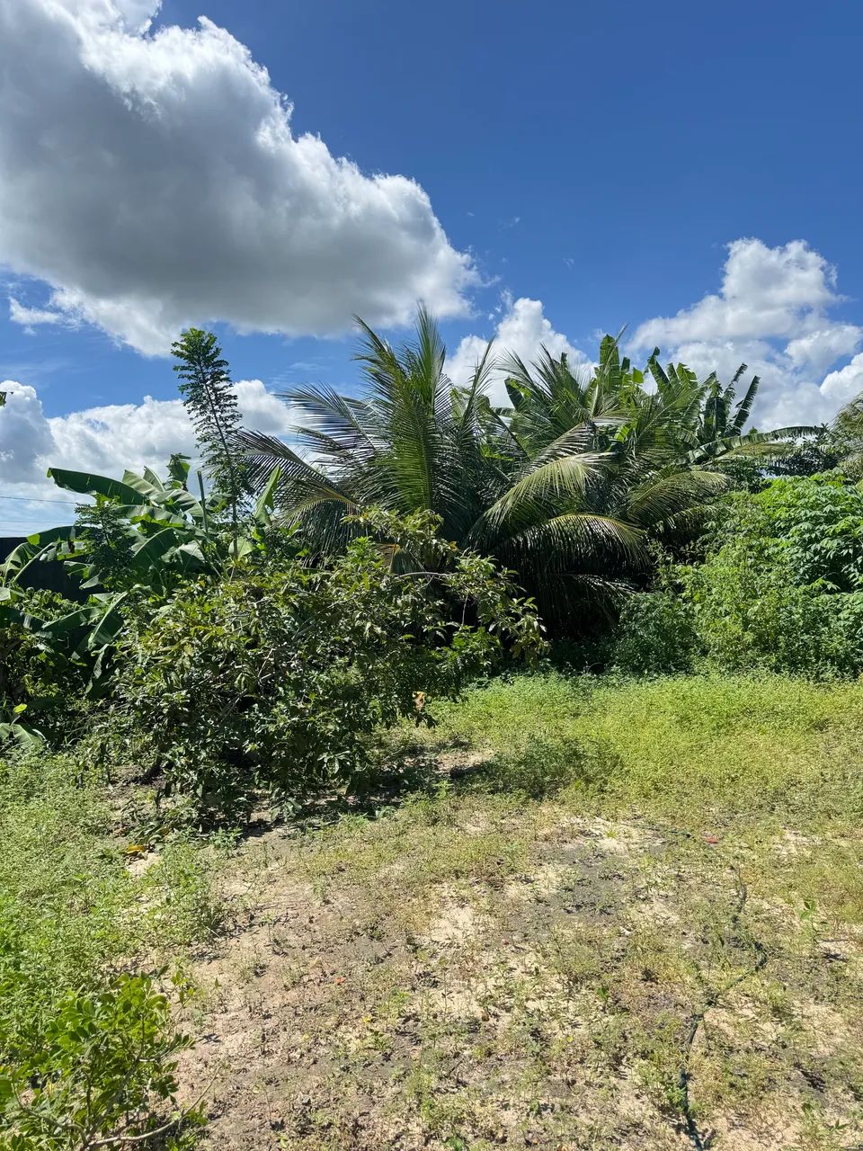 Terreno em Caucaia (vende-se) 650m - Foto 5