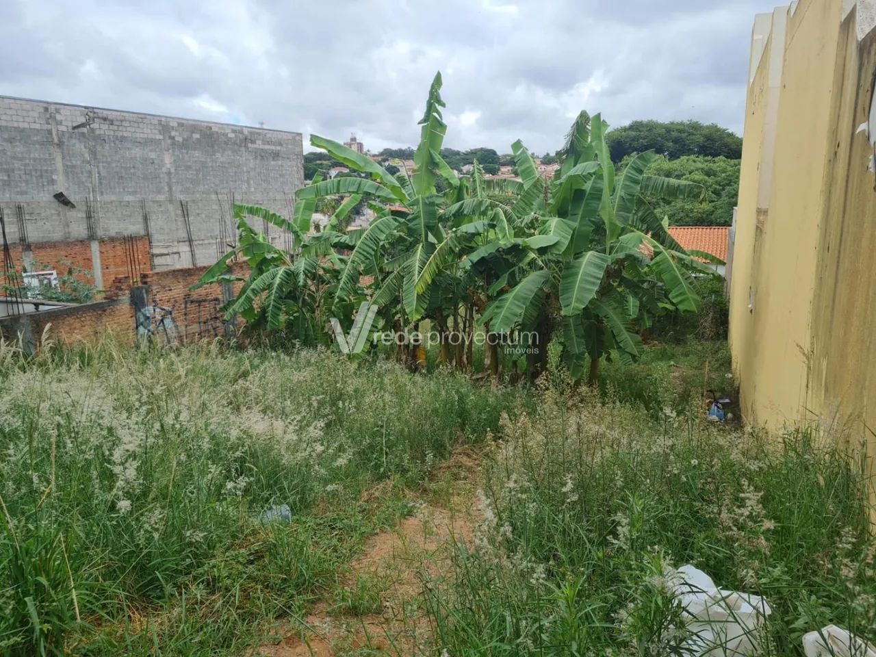 terreno - Parque São Quirino - Campinas - Foto 2
