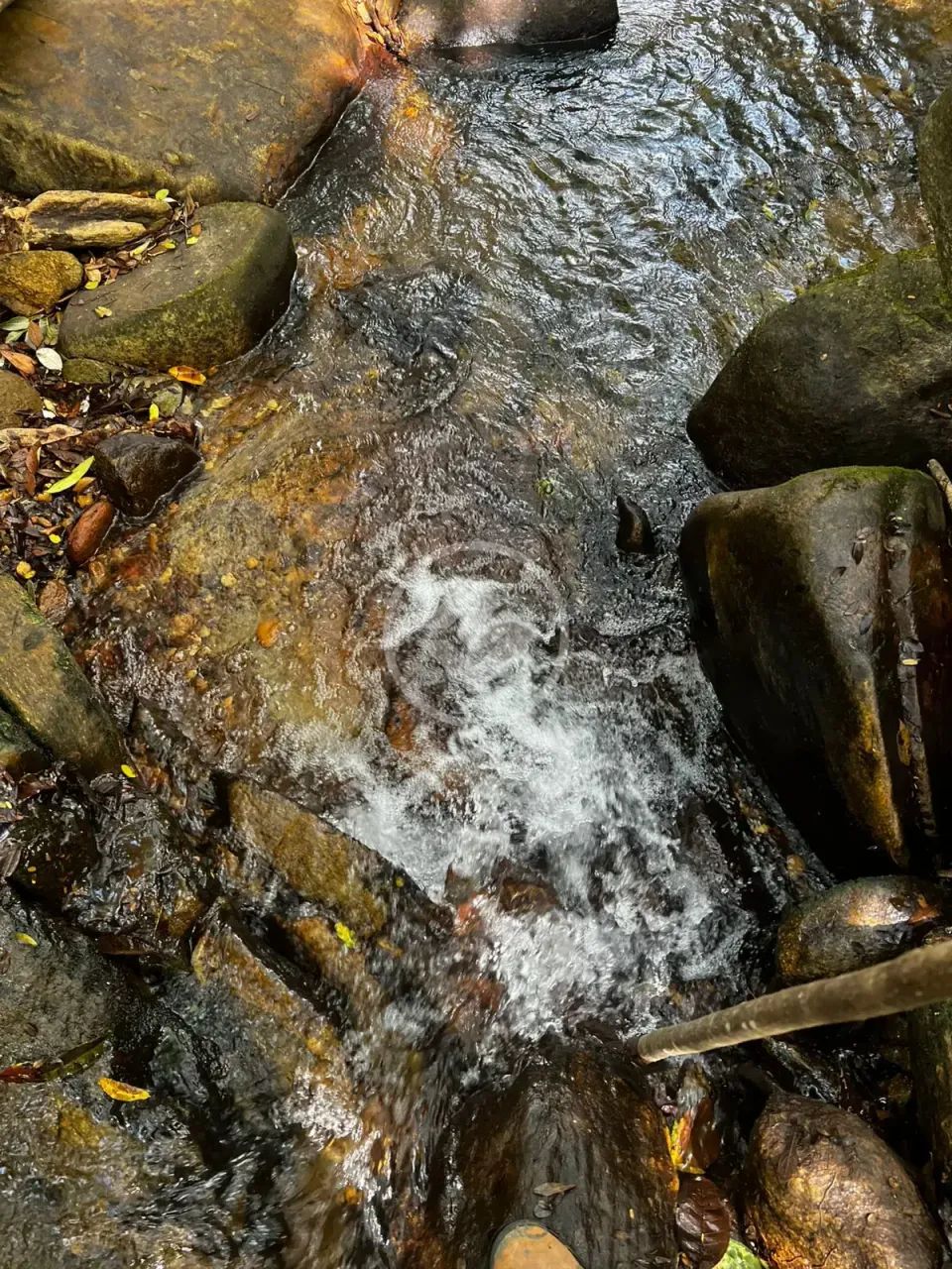 Terreno à venda codigo: 141831 - Foto 2